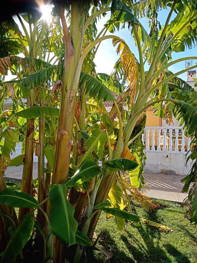 El Paraiso Del Sol Cartagena Bagian luar foto